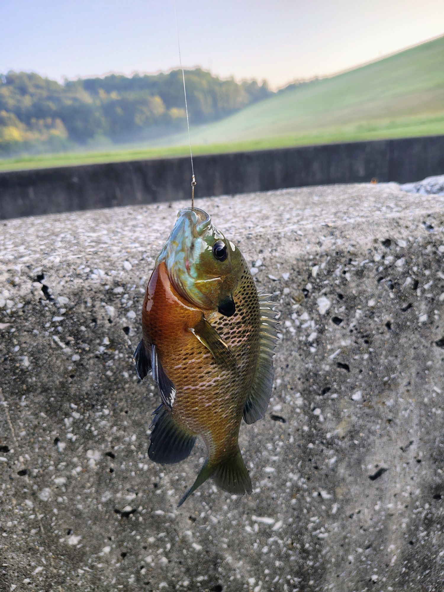 Gone Fishing